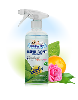 Pulitore Tessuti e Tappeti Igienizzante