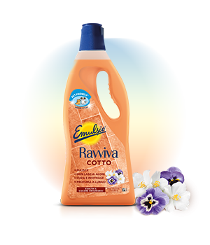 Ravviva Cotto